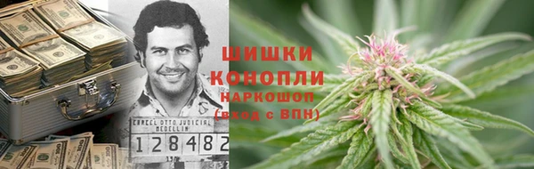 молекула духа Алексин