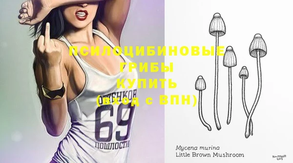 ALPHA PVP Алзамай