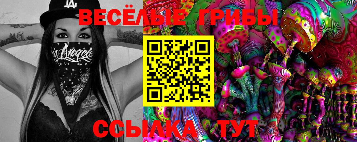 Кореновск  Псилоцибиновые грибы GOLDEN TEACHER  Вход с VPN 