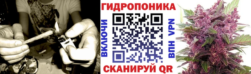 что такое   Кореновск  Бошки марихуана конопля 